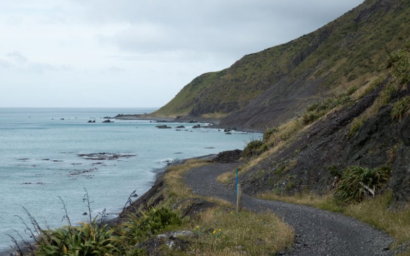 Rimutaka Cycle Trail, 30 Kilometer vor Wellington, Neuseeland Nordinsel