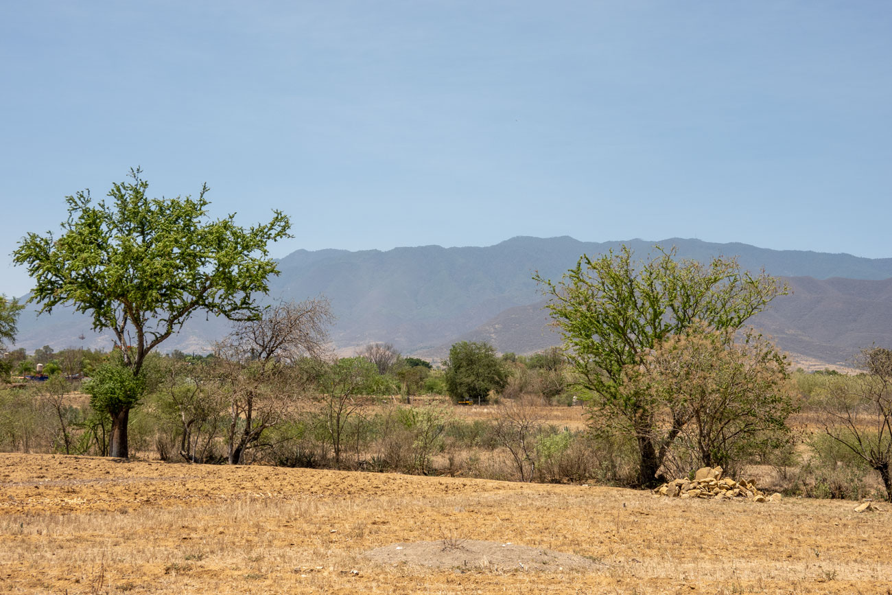 Landschaft bei Oaxaca