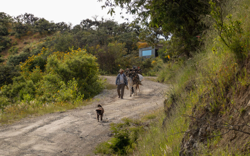 auf dem Weg nach Hierve el Agua