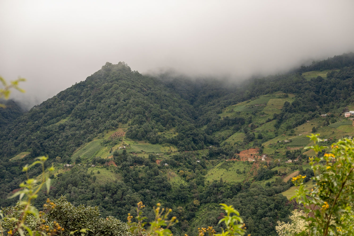 in den Bergen auf dem Weg nach Tuxtepec