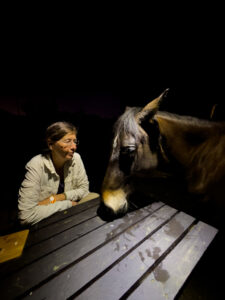 Park Aurora - Besuch am Abend