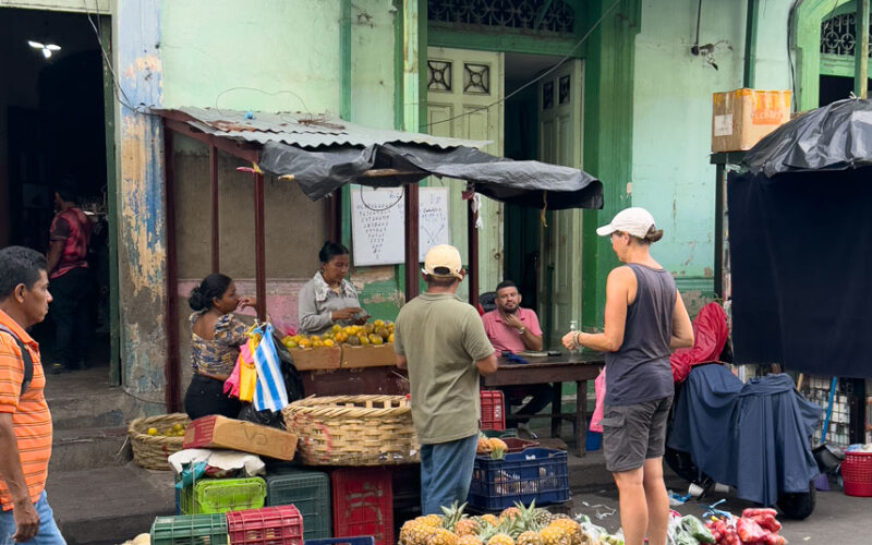 Einkauf auf dem Markt von Granada - eine Ananas kostet 20 Euro-Cent