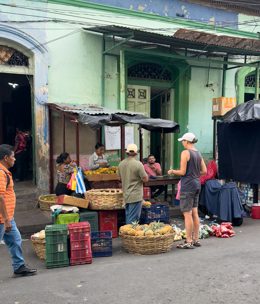 Einkauf auf dem Markt von Granada - eine Ananas kostet 20 Euro-Cent