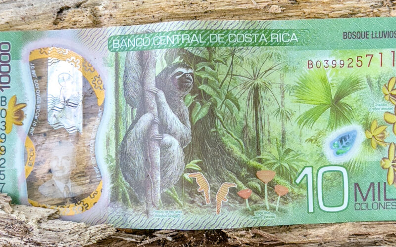Geldschein über 10000 Colones von Costa Rica