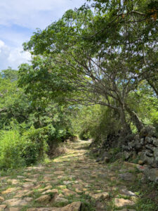 Camino de Lenguerke
