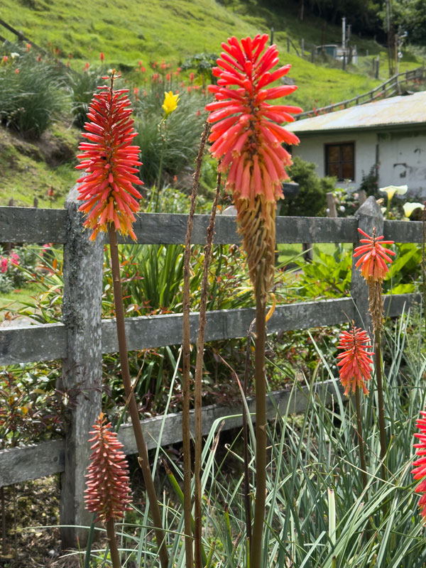 Finca La Montaña