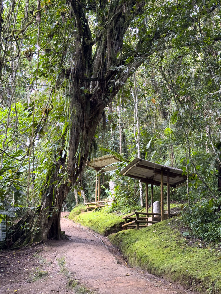 Archäologischer Park in San Agustin