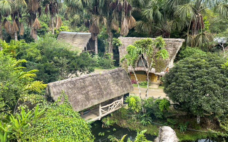 Sinchi Warmi