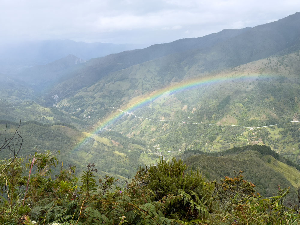 Over the rainbow - Podocarpus NP