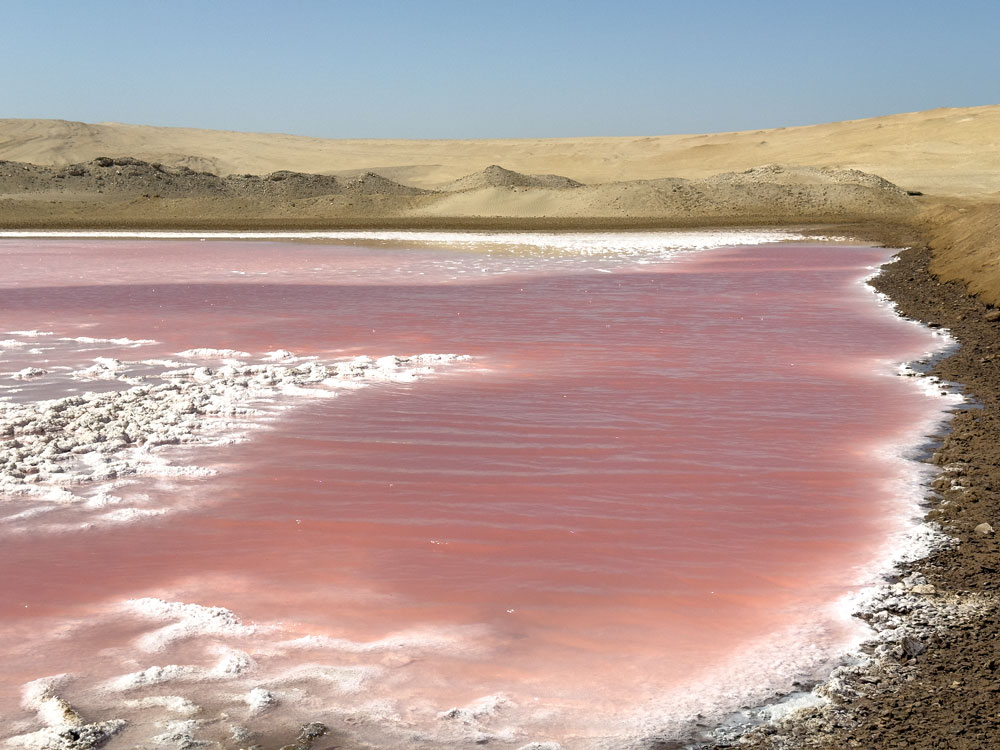 Rosa-rote Lagune im Nationalpark Paracas