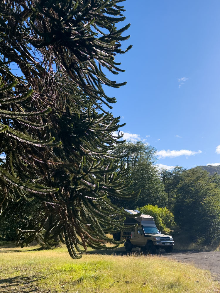 Übernachtung im Araukarienwald