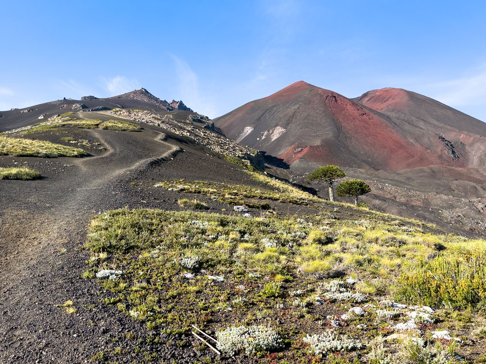 Durch die Aschewüste zum Vulkan Sollipulli
