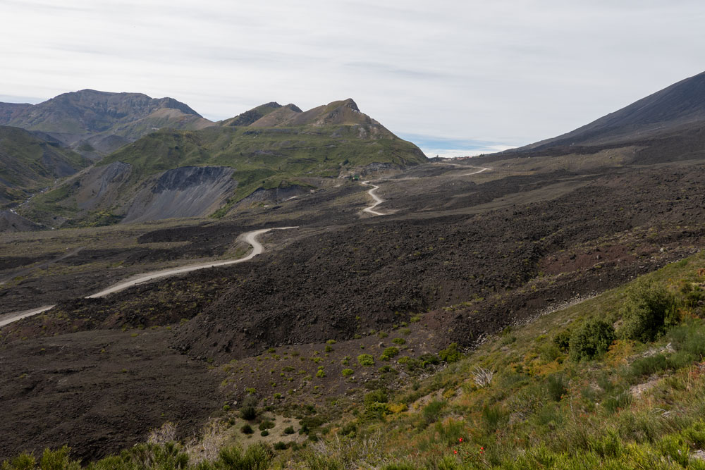 Straße durch den Parque Nacional Laguna del Laja