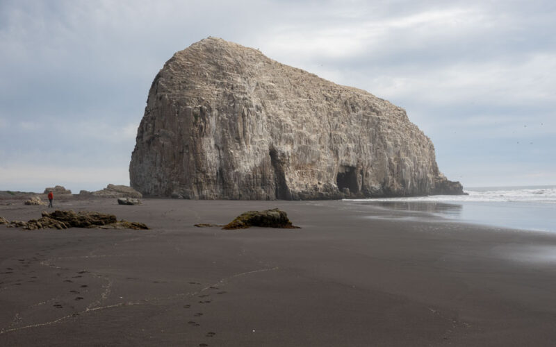 Felsenriff Piedra de la Iglesia bei Constitución