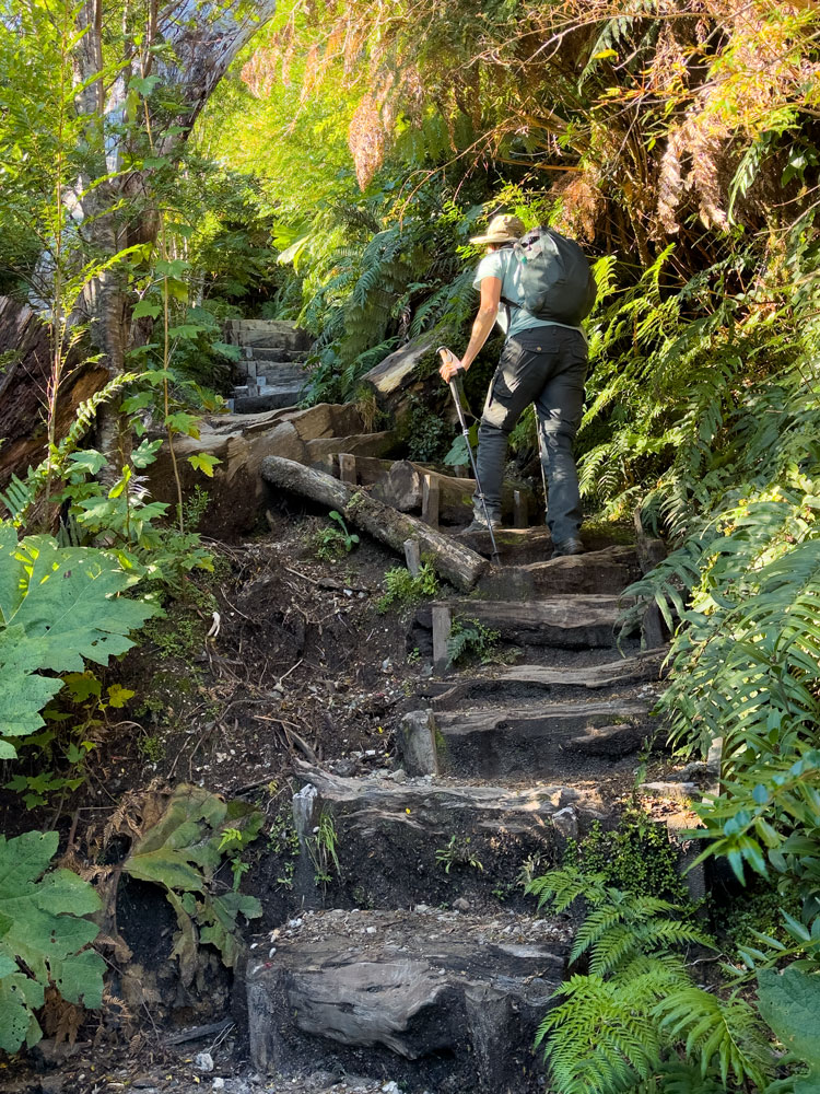 Wanderung zum Vulkan Chaiten