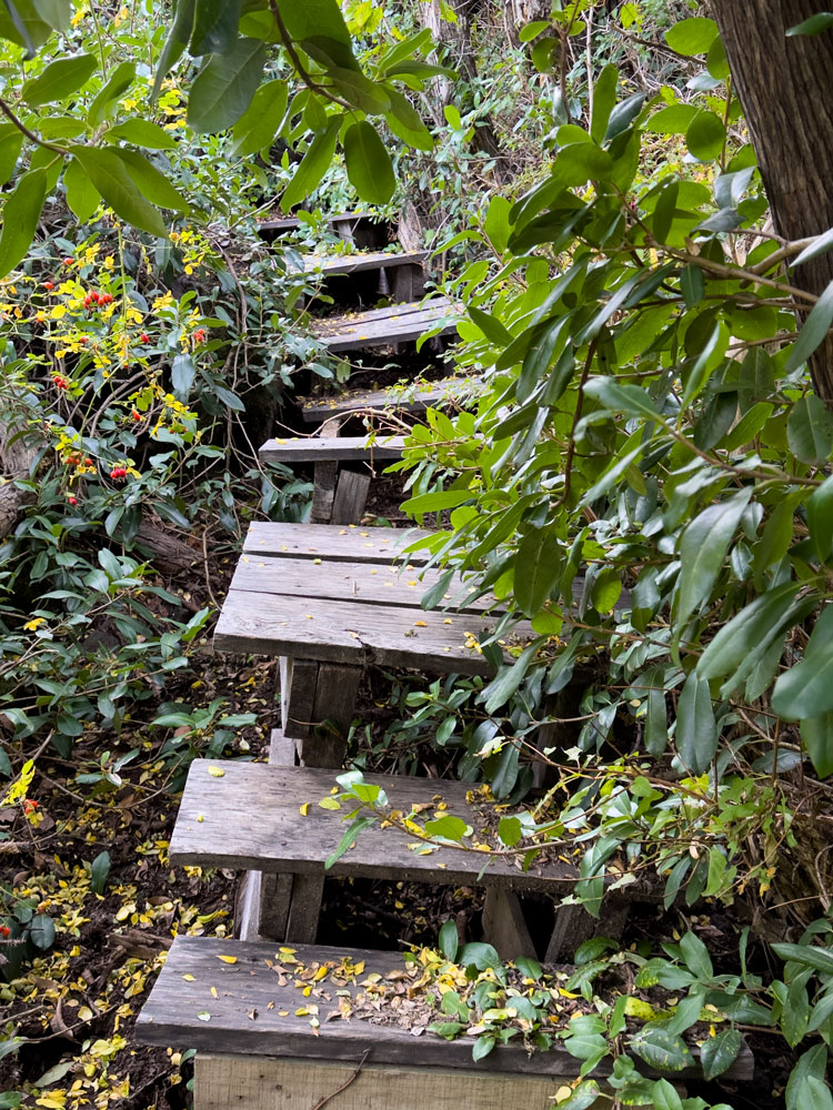 Sendero Las Chilcas im Parque Nacional Laguna del Laja