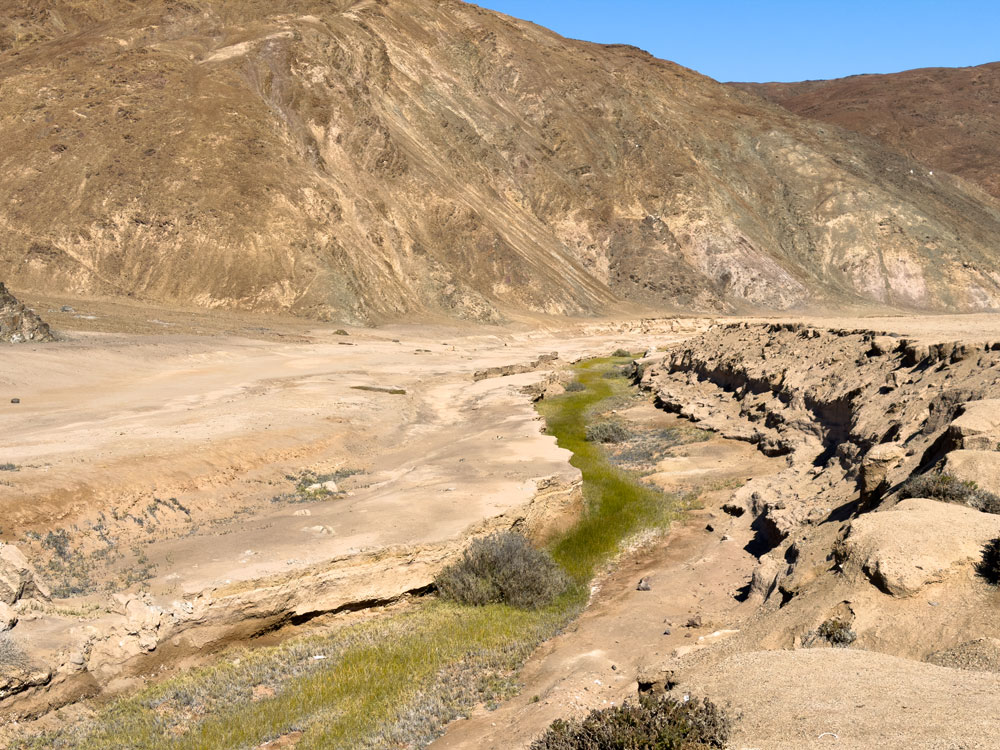 Quelle im Parque Nacional Pan de Azúcar
