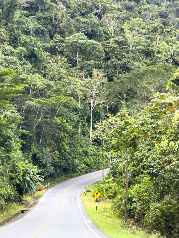 Fahrt durch den „Resturwald“ im Amazonasbecken