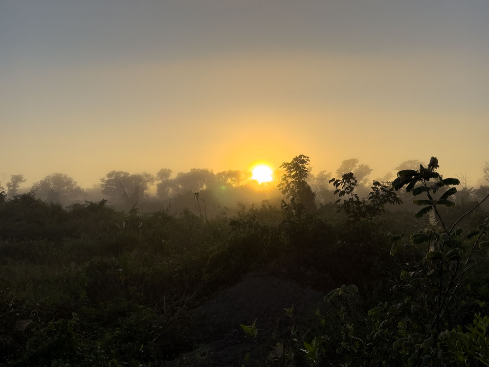 Sonnenaufgang im Pantanal - Zeit der Vögel und Mücken